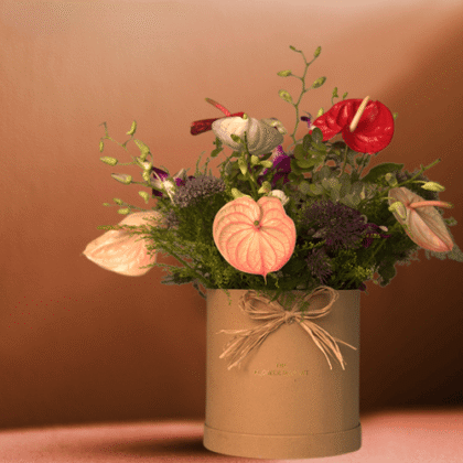 Anthurium
