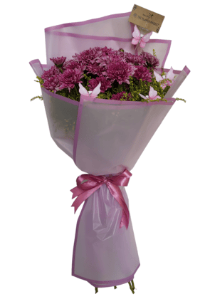 Chrysanthemum-purple