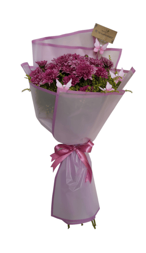 Chrysanthemum-purple