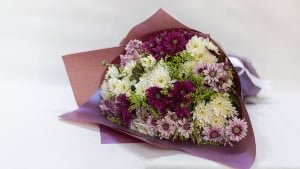 Violet