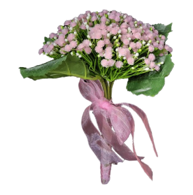 Bride bouquet