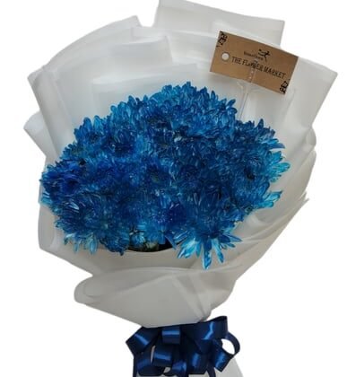 Chrysanthemum-blue