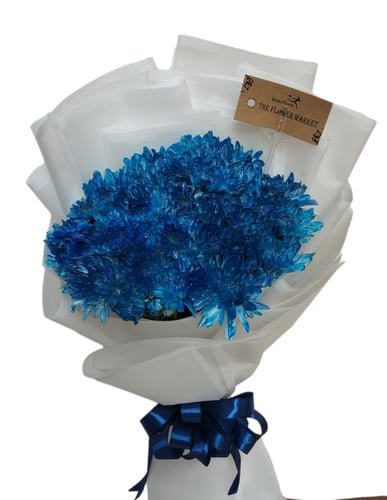 Chrysanthemum-blue