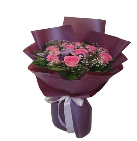 pink roses-1