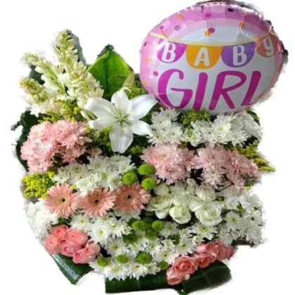 Baby girl combo