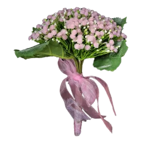 باقة العروس