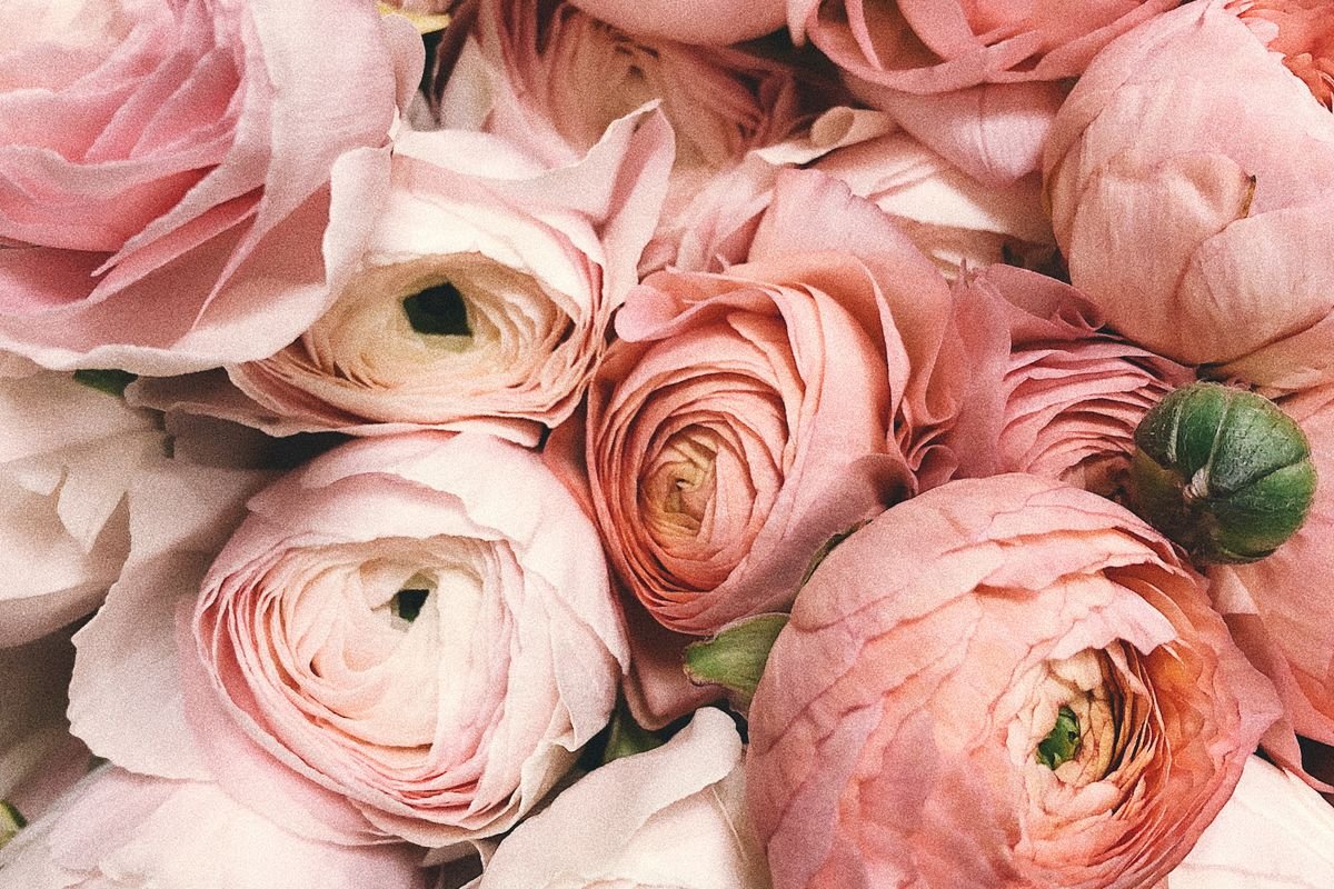 10 Flower Care Tips: How to Keep Your Bouquet Fresh Longer