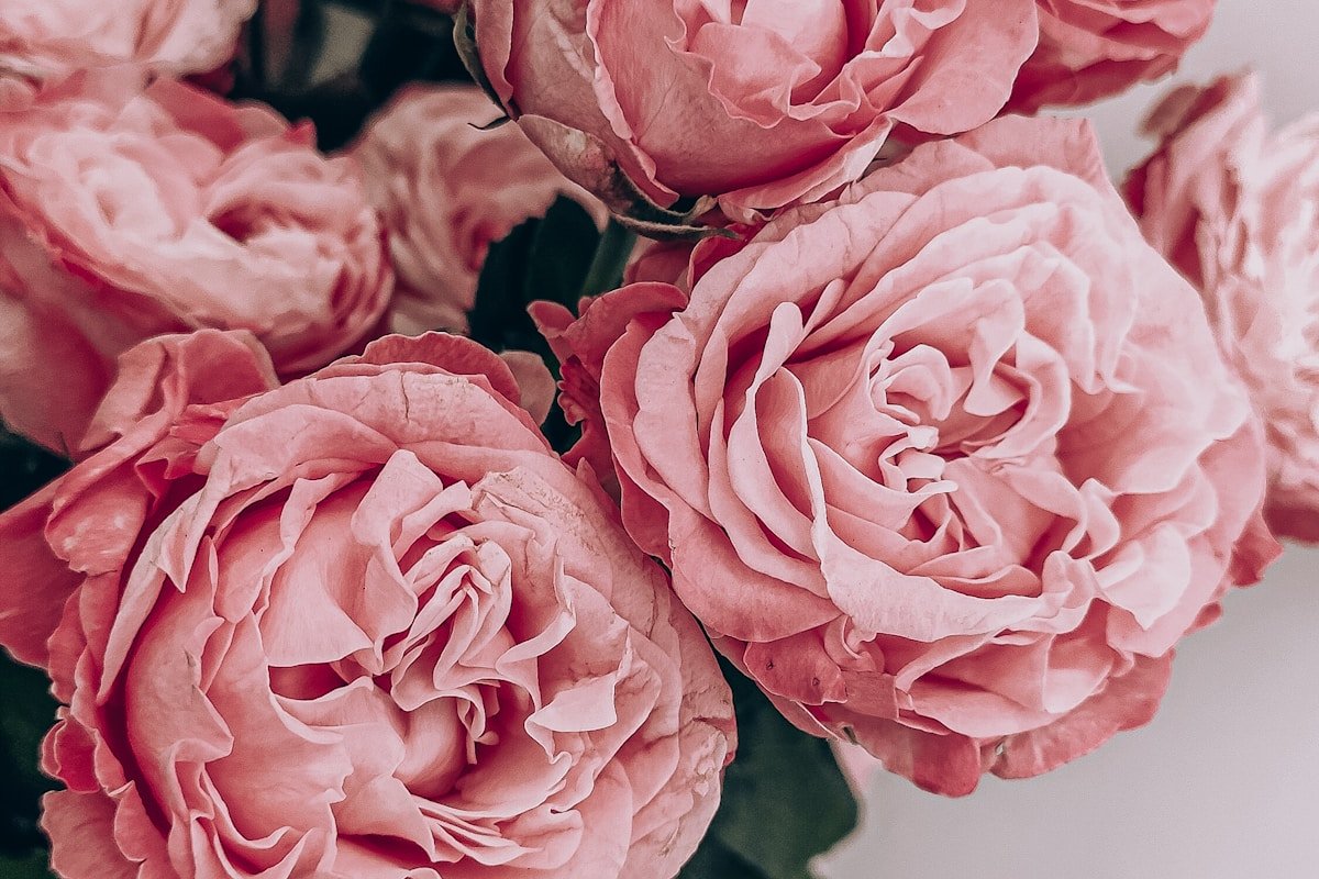 Mother’s Day Gift Guide: How to Choose the Perfect Flower Bouquet for Your Mom in Egypt